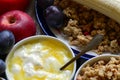 Fruit muesli with yogurt and cereals for breakfast. Royalty Free Stock Photo