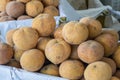 Sandoricum koetjape santol or cottonfruit is a tropical fruit grown in Southeast Asia