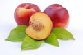 Fruit - nectarine Royalty Free Stock Photo