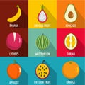 Fruit nutrition icons set, flat style