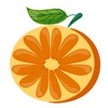 Fruit. One Cut half an orange with a green leaf vector illustration Royalty Free Stock Photo