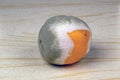 Fruit orange covered with mildew on the table Royalty Free Stock Photo