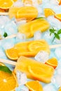 Fruit orange ice lolly with slices of orange and ice cubes Royalty Free Stock Photo