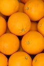Fruit oranges fresh