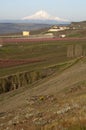 Fruit Orchards Washington Countryside Mount Hood Cascade Range V