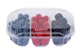 fruit packaging mockup Royalty Free Stock Photo