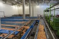 Fruit Packing Facility Interior With Apples Floating, Being Washed, Sorted and Transported in Water Tank Conveyor