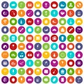 100 fruit party icons set color