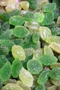Fruit pastilles background Spain Royalty Free Stock Photo