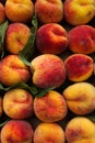 Fruit peaches leaves Royalty Free Stock Photo