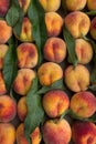 Fruit peaches ripe Royalty Free Stock Photo