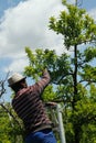 Fruit picker