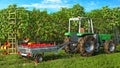 Fruit picking in process, tractor with a trailer full of apples among the fruit garden and under a blue sky, Royalty Free Stock Photo