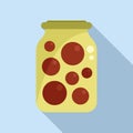 Fruit pickled icon flat vector. Food jar Royalty Free Stock Photo