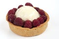 Fruit pie Royalty Free Stock Photo