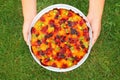 Fruit pie against grass Royalty Free Stock Photo