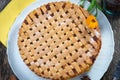 Fruit pie Royalty Free Stock Photo