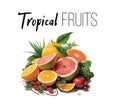 Fruit pile set. Vector illustration of banners with various tropical fruits isolated on white background. Fresh food in Royalty Free Stock Photo