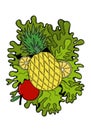 fruit pineapple apples isolated illustration Royalty Free Stock Photo