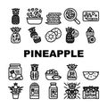 fruit pineapple slice cut food icons set vector Royalty Free Stock Photo