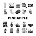 fruit pineapple slice cut food icons set vector Royalty Free Stock Photo