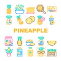 fruit pineapple slice cut food icons set vector Royalty Free Stock Photo