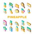 fruit pineapple slice cut food icons set vector Royalty Free Stock Photo