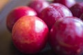 Fruit plum