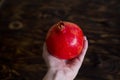 A fruit of pomegranate in hand on a dark brown background.