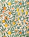 Fruit or Pomegranate by William Morris 1834-1896. Original from the The MET Museum. Digitally enhanced by rawpixel