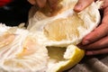 Fruit Pomela in the hands of Royalty Free Stock Photo