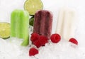 Fruit Popcicles on Ice Royalty Free Stock Photo