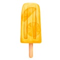 Fruit popsicle watercolor hand drawn illustration. Summer orange ice cream painting