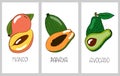 Fruit Poster Set. Hand Drawn Mango, Papaya And Avocado. Fruits And Lettering