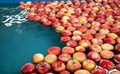 Fruit processing factory. Apple cleaning process on a water conveyor belt. Fruit washing and sorting Royalty Free Stock Photo
