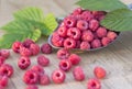 Fruit raspberries and green leaf Royalty Free Stock Photo