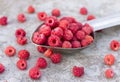 Fruit raspberries in the metallic spoon