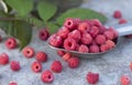 Fruit raspberries in the metallic spoon