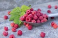 Fruit raspberries in the metallic spoon