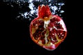 Fruit red garnet