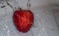 The fruit of red ripe apple in water