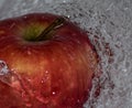 The fruit of red ripe apple in water