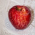 The fruit of red ripe apple in water