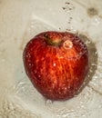 The fruit of red ripe apple in water