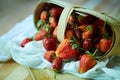 Fruit red ripe strawberries fall out of the basket to collect berries. Ecological products grown in the garden Royalty Free Stock Photo