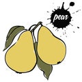 Fruit ripe pear