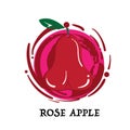 Fruit rose apple graphic element design icon symbol