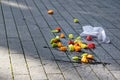 Fruit salad accidentally dropped to ground. Misfortune concept