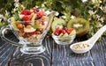 Fruit salad closeup with berries, yogurt and granola in a glass bow Royalty Free Stock Photo