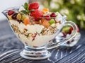 Fruit salad closeup with berries, yogurt and granola in a glass bow Royalty Free Stock Photo